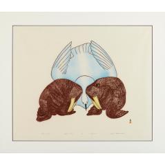 Walrus and Bird