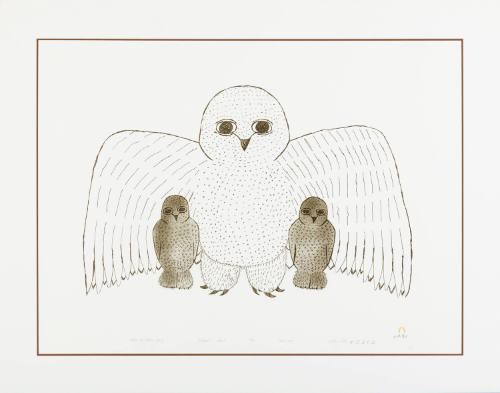 Mother Owl Shelters Young