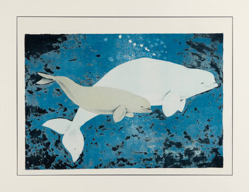 Beluga with Young