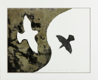 Owl and the Raven