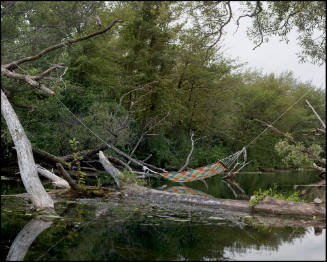Hammock
