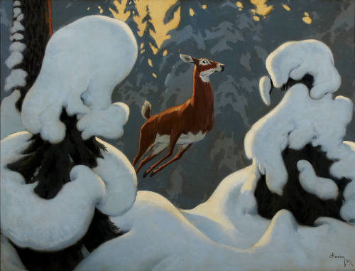 In Canada's Fairyland