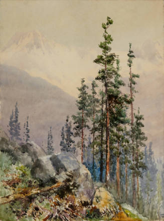 Rapid Stream in the Rocky Mountains