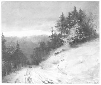 Winter Evening