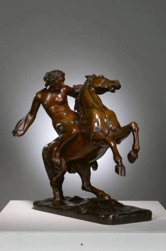 Amazon Taming a Wild Horse
