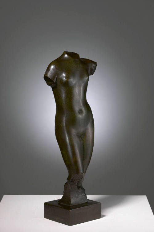 Torso of a Woman
