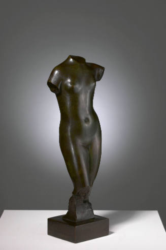 Torso of a Woman
