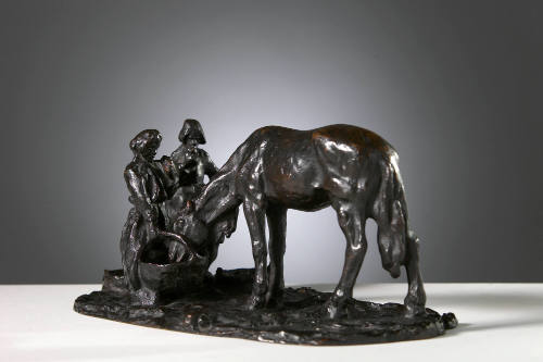 Horse Being Watered