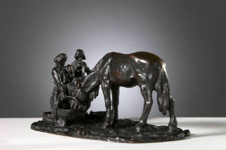 Horse Being Watered