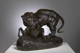 Tiger Catching an Antelope