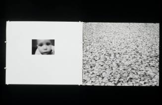 Untitled (Eyes and Leaves)