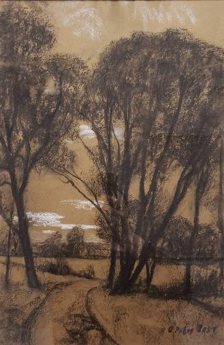 Sketch of Tall Trees