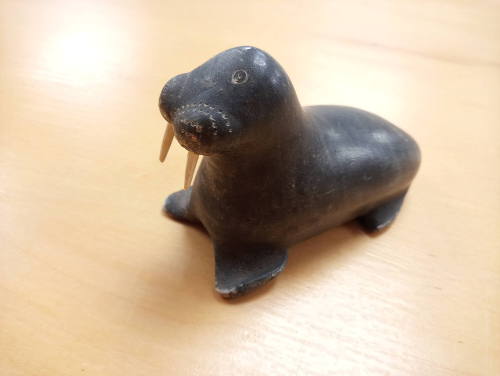 Walrus