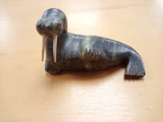Walrus