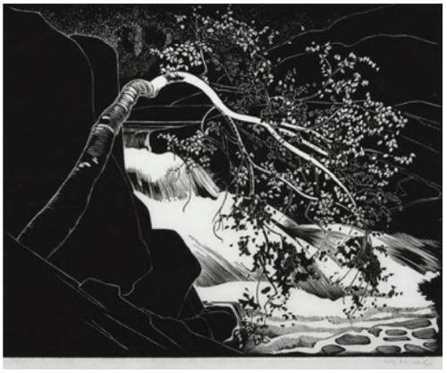 Rushing River, Lake of the Woods