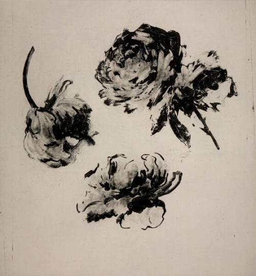 Flowers II
