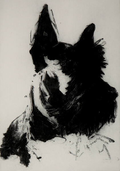 Hamish