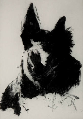 Hamish