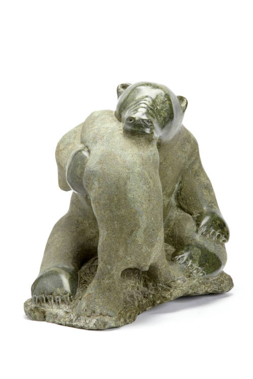 Bear kneeling eating seal