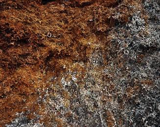 Ferrous Bushling #18, Hamilton, Ontario, 1997