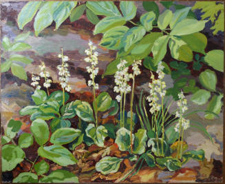 Shinleaf