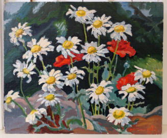 Field Daisies