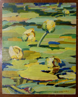 Pond Lilies