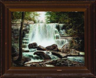 Webster's Falls