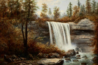 Webster's Falls