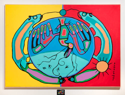 Thunderbird Evolution