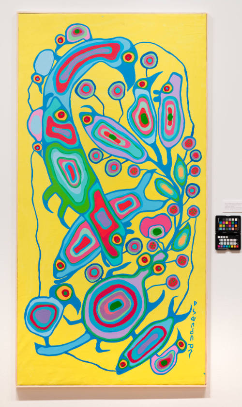 Images from Another Plane