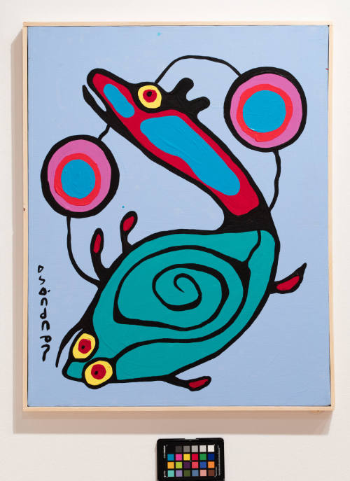 Combination Fish and Bear