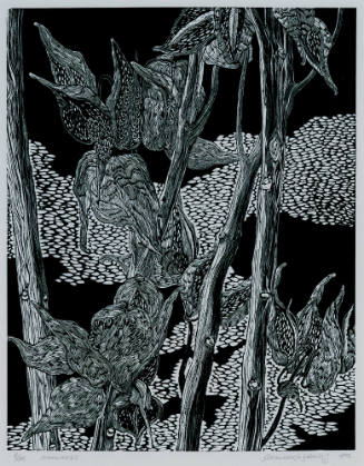 Milkweeds