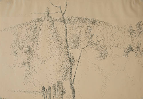 Hillside in November