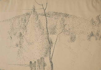 Hillside in November