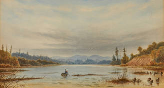 In Dundas Marsh