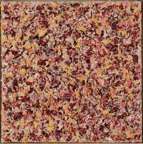 (90lbs) Chapel (Rose) (of Light, or Girl II)