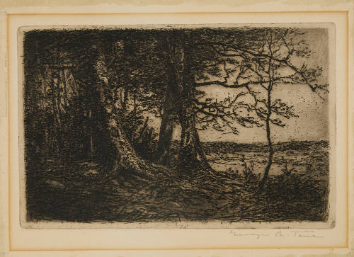 Edge of the Wood