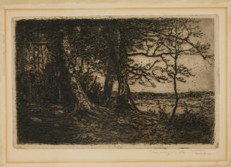 Edge of the Wood