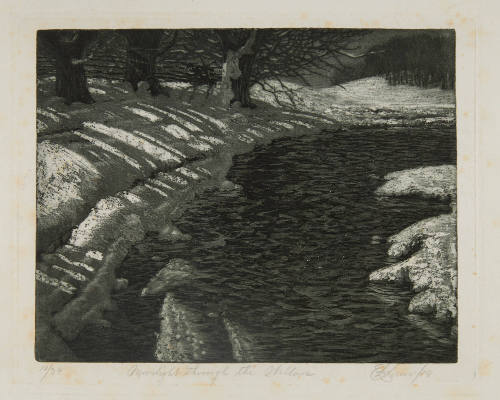 Moonlight Through the Willows
