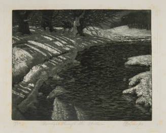 Moonlight Through the Willows