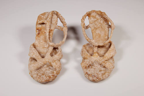 Wedding Guest's Shoes