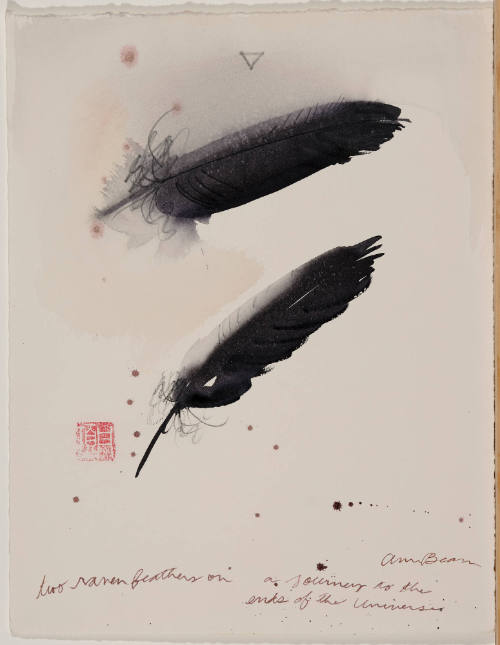 Two Raven Feathers