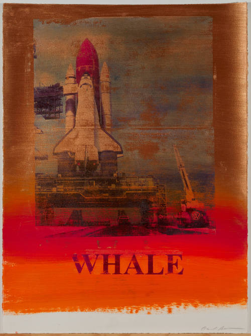 Whale 22