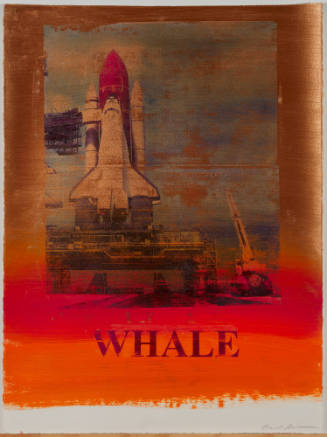 Whale 22