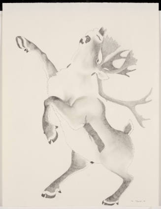 Caribou