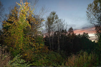 Roxham Road Border Site, Quebec
