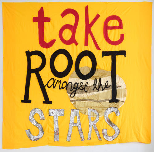 Take Root Amongst the Stars