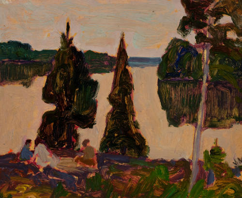 Picnic at Big Turtle Lake