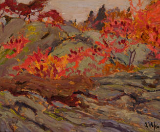 Rocks, Haliburton
